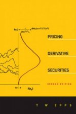 Pricing Derivative Securities (2nd Edition)
