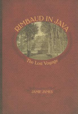 Rimbaud in Java