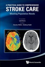 Practical Guide To Comprehensive Stroke Care, A: Meeting Population Needs