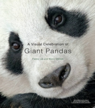 Visual Celebration of Giant Pandas