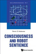 Consciousness And Robot Sentience