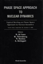 Phase Space Approach To Nuclear Dynamics - Proceedings Of The Topical Meeting