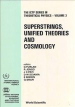 Superstrings, Unified Theories And Cosmology - Proceedings Summer Workshop