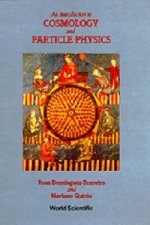 Introduction To Cosmology And Particle Physics, An