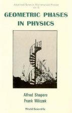 Geometric Phases In Physics