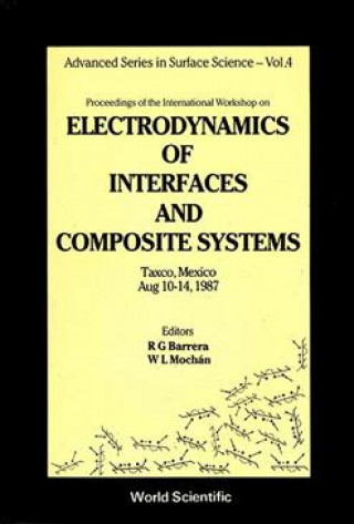 Electrodynamics of Interfaces and Composite Systems