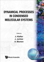 Dynamical Processes In Condensed Molecular Systems