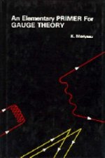 Elementary Primer For Gauge Theory, An