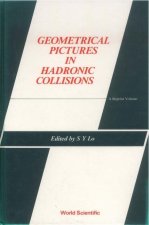 Geometrical Pictures In Hadronic Collisions: A Reprint Volume