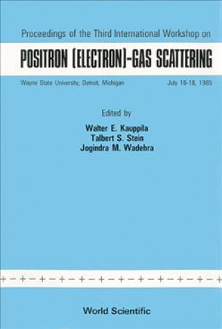 Positron (Electron)-Gas Scattering