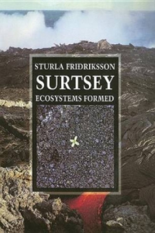 Surtsey