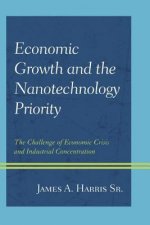 Economic Growth and the Nanotechnology Priority