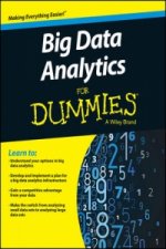 Big Data Analytics for Dummies