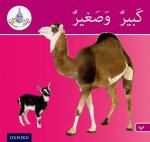 Arabic Club Readers: Pink Band B: Big and Small