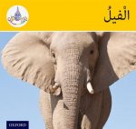 Arabic Club Readers: Yellow Band: Elephants