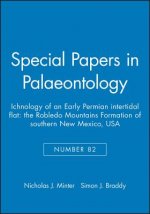 Special Papers in Palaeontology No 82 - Ichnology of an Early Permian intertidal flat - The Robledo Mountains Formation of Southern New Mexico, USA