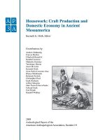 Anthropological Association, Number 19, Housework  -Craft Production and Domestic Economy in Ancient Mesoamerica