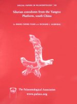 Special Papers in Palaeontology No 83 - Silurian conodonts from the Yangtze Platform, south China