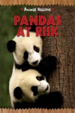 Animal Rescue: Pandas in Danger