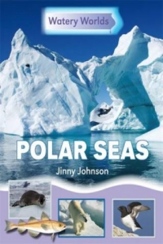 Watery Worlds: Polar Seas