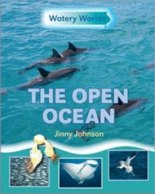 Watery Worlds: The Open Ocean