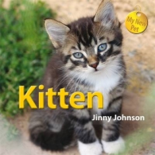 My New Pet: Kitten