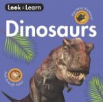 Dinosaurs Board Book