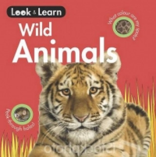 Wild Animals Board Book