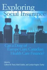 Exploring Social Insurance