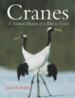 Cranes