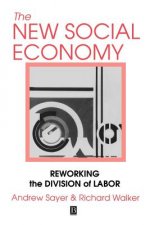 new Social Economy: Reworking the Division of Labor