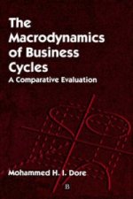 Macrodynamics of Business Cycles