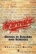 Wannabe - Gangs in Suburbs and Schools