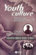 Youth Culture - Identity in a Postmodern World