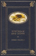 Upstream & Down