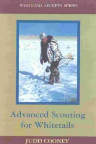 Advanced Scouting for Whitetails