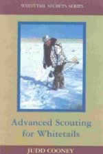 Advanced Scouting for Whitetails