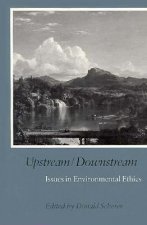 Upstream/Downstream