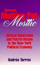 Between Melting Pot and Mosaic