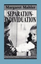 Separation--Individuation