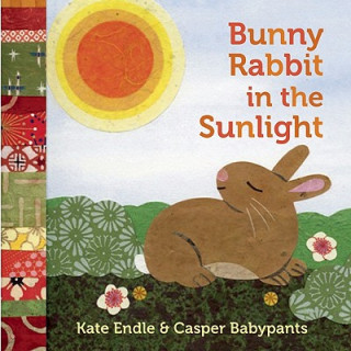 Bunny Rabbit in the Sunlight