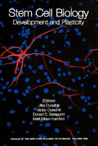 Stem Cell Biology: Development and Plasticity (Annals of the New York Academy of Sciences, Volume 1049, May 2005)