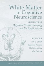 White Matter in Cognitive Neuroscience: Advances in Diffusion Tensor Imaging and Its Applications
