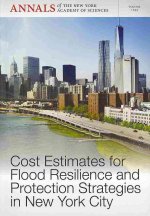 Cost Estimates for Flood Resilience and Protection  Strategies in New York City