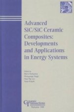 Advances in SiC/SiC Ceramic Composites - Developments and Applications in Energy Systems: Ceramic Transactions V144