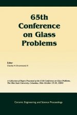 65th Conference on Glass Problems (Ceramic Engineering and Science Proceedings V26 Number 1)