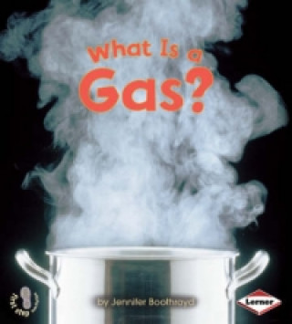 What is a Gas?