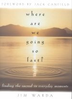 Where Are We Going So Fast?