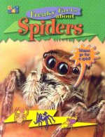 Freaky Facts About Spiders