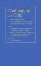 Challenging the Chip